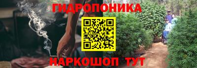 каннабис Кингисепп