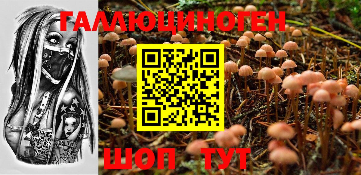 Галлюциногенные грибы GOLDEN TEACHER  Вход с VPN  Кудымкар 