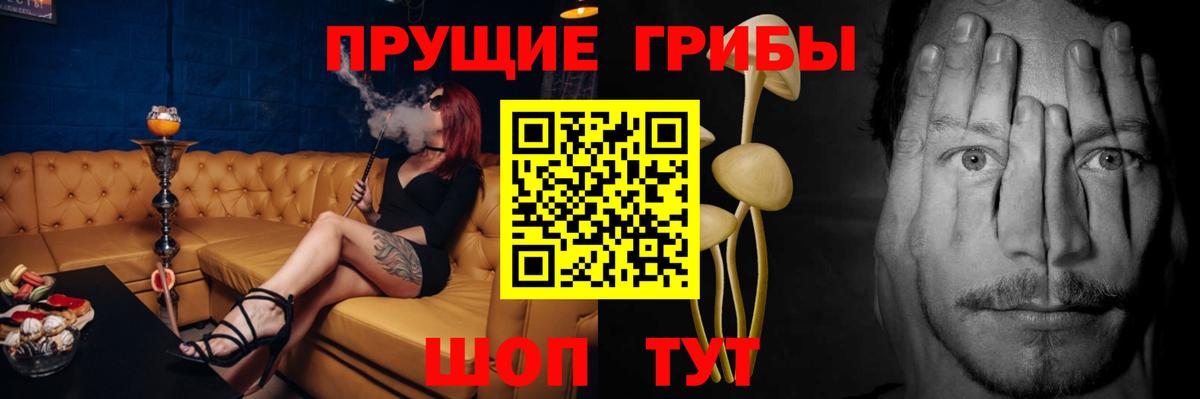 Галлюциногенные грибы Psilocybe Кудымкар